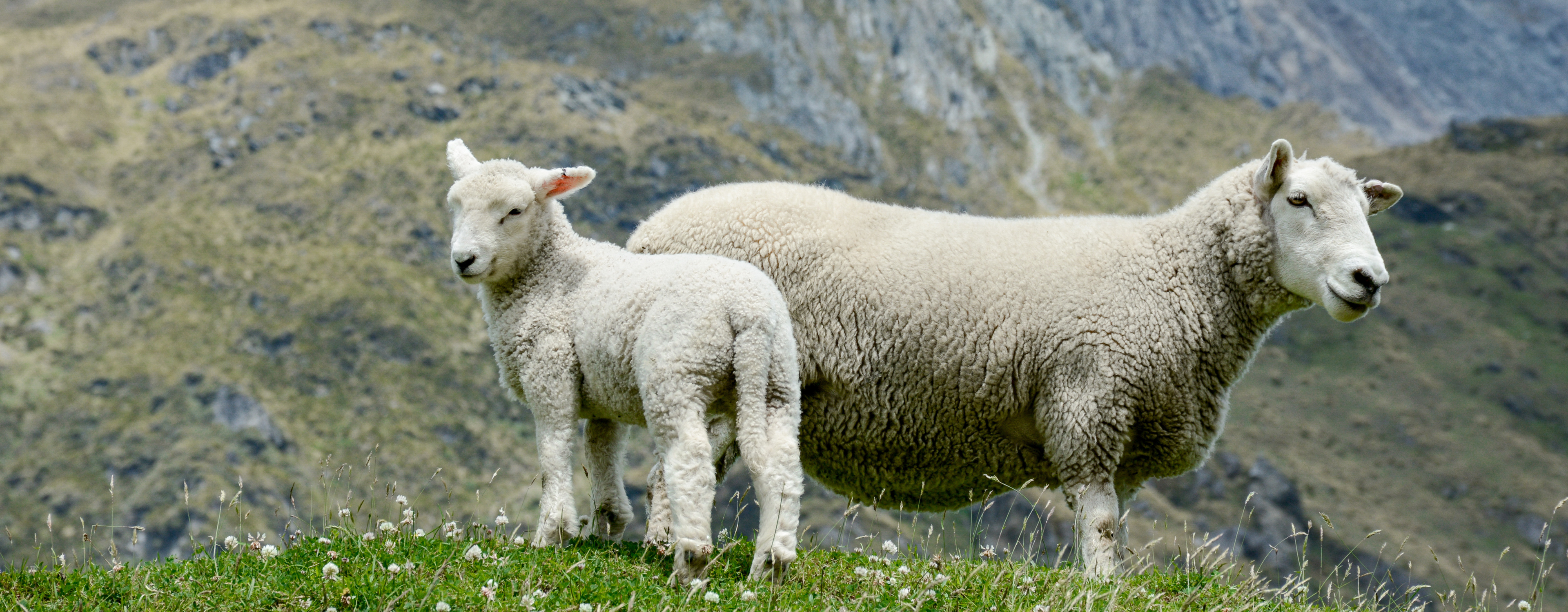 slider image 1621243260e1af0c20-2