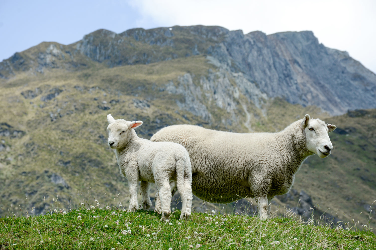 Aran Fisherman Knits